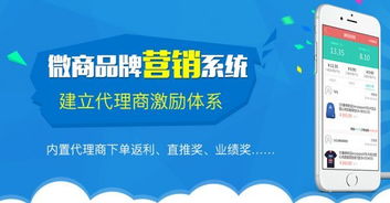 微信商城营销管理系统功能定制开发